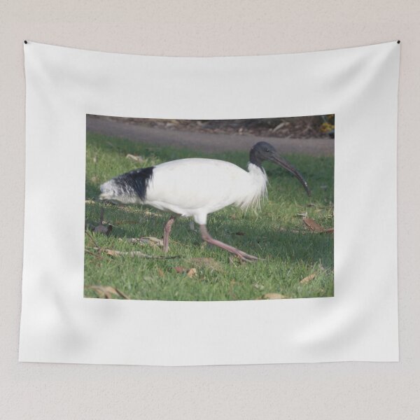 Item preview, Ibis designed and sold by Naomi80.