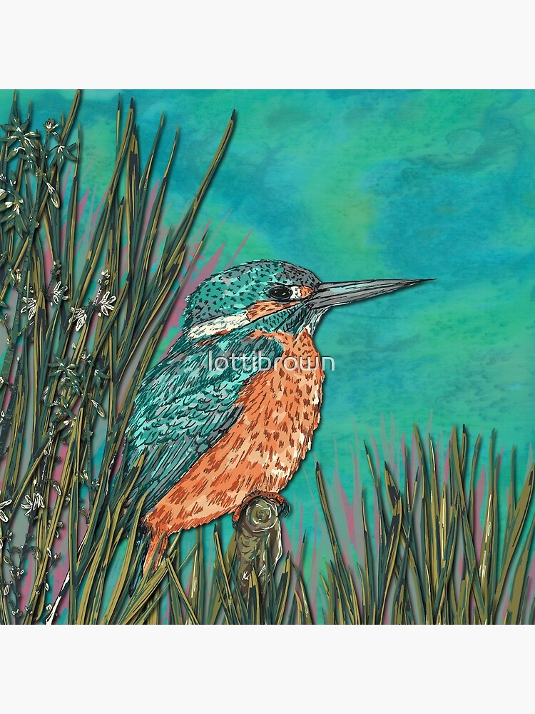 Kingfisher by lottibrown
