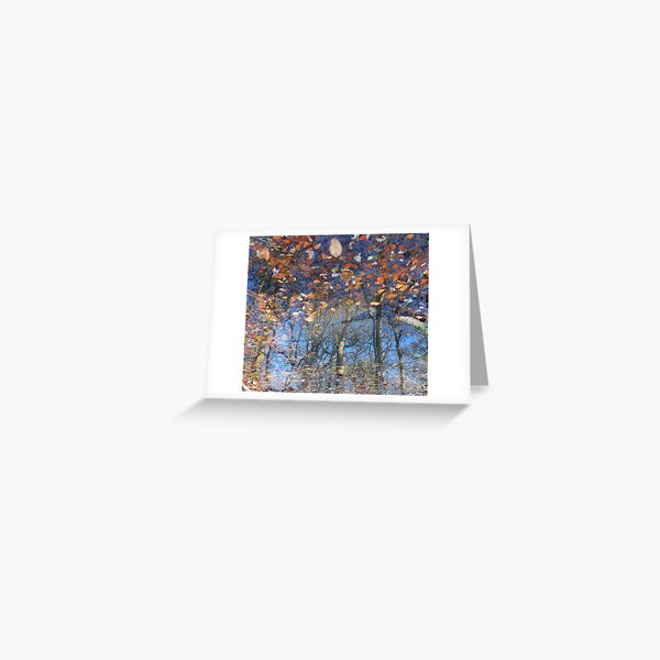 Canopy Reflections Greeting Card