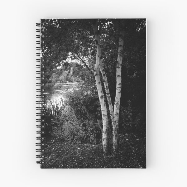 Item preview, White birch trees in black and white designed and sold by Marian Rubin.