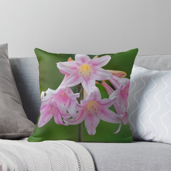 Item preview, The Belladonna,s Naked Beauty designed and sold by David  Hibberd.
