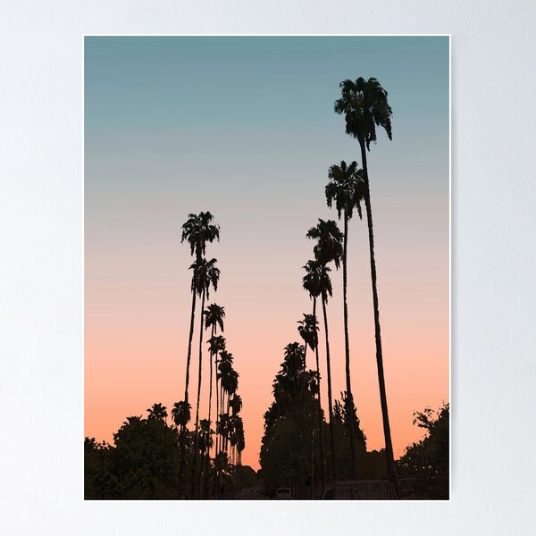 Item preview, California Sunset // Picture of Palm Tree Silhouette in the Street with a Orange and Blue Color Sky designed and sold by desertxpalm.