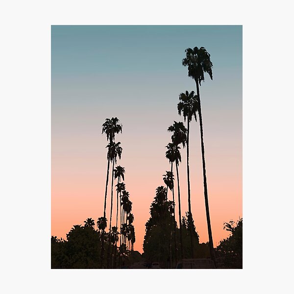 Item preview, California Sunset // Picture of Palm Tree Silhouette in the Street with a Orange and Blue Color Sky designed and sold by desertxpalm.