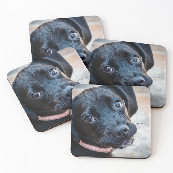 Item preview, Luna the Puppy designed and sold by stuart atton.