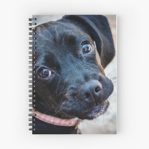 Item preview, Luna the Puppy designed and sold by stuart atton.