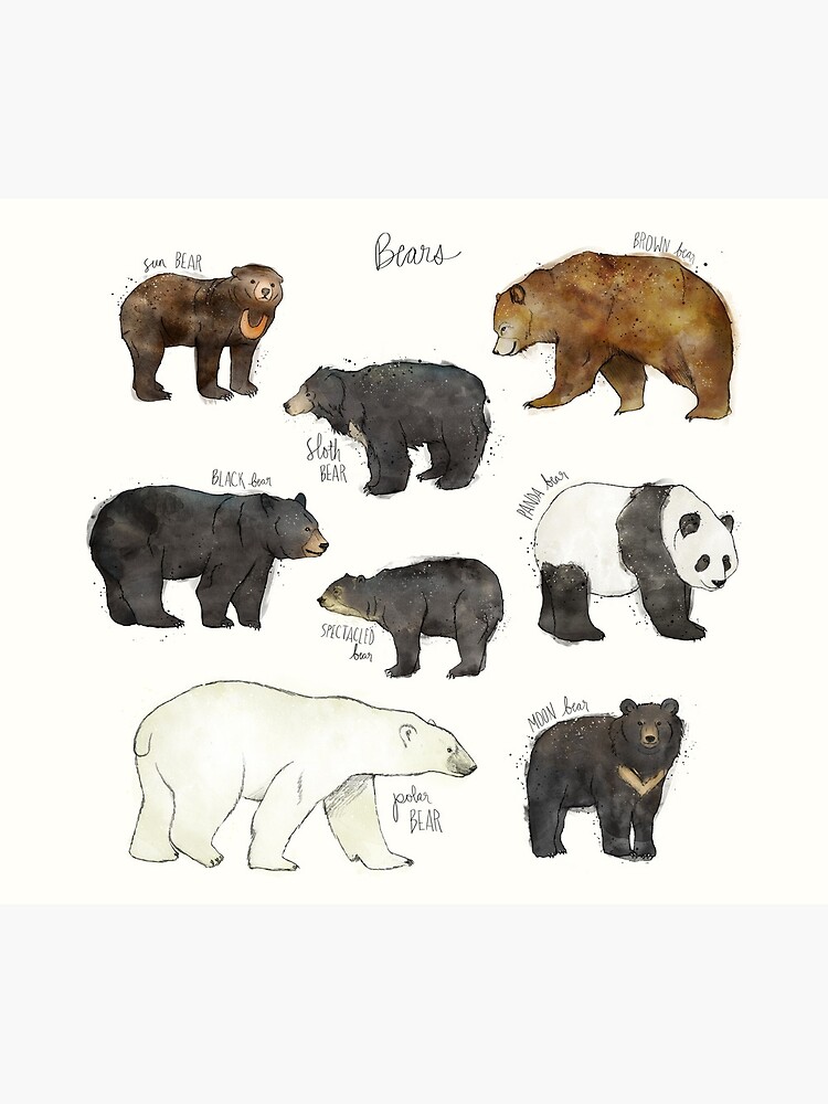 Bears by AmyHamilton