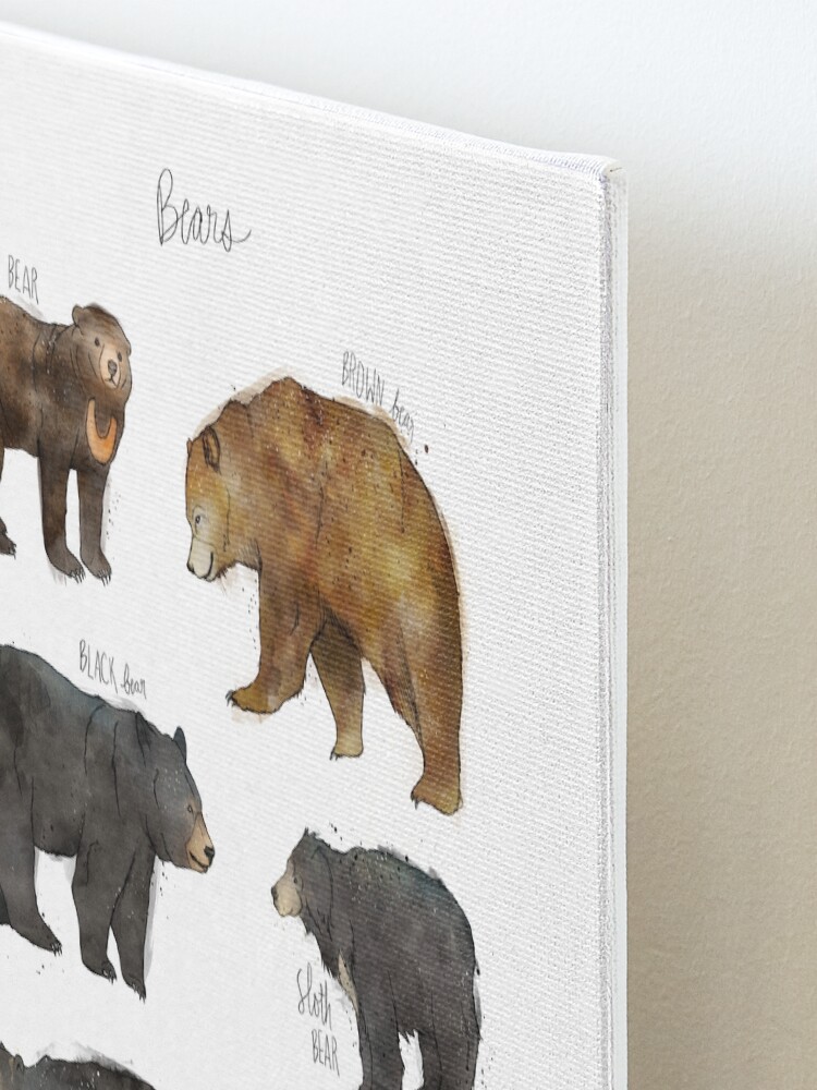 Alternate view of Bears Mounted Print