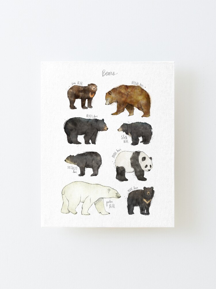 Alternate view of Bears Mounted Print