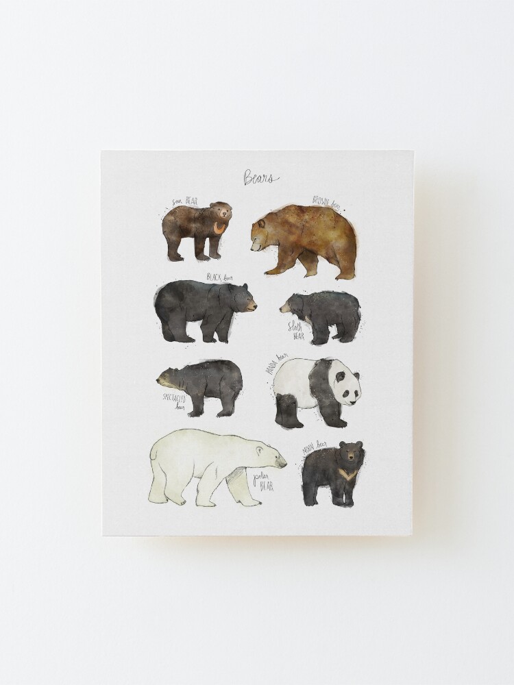 Alternate view of Bears Mounted Print