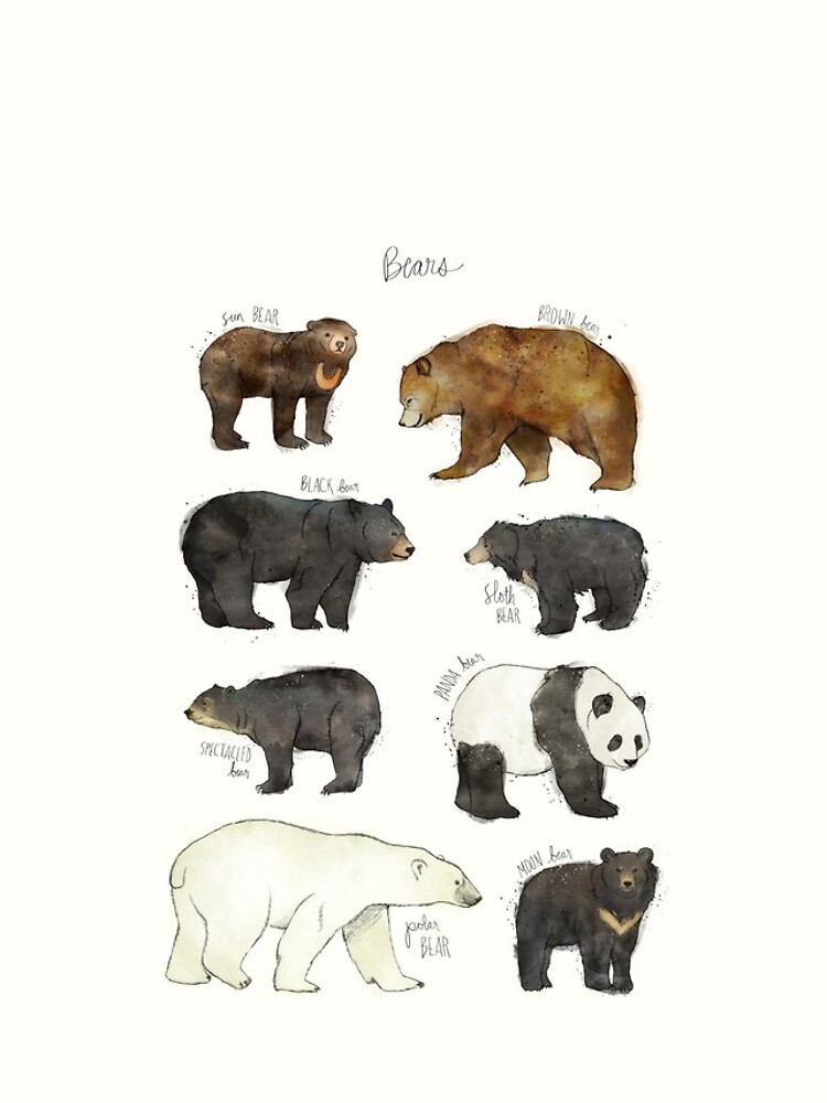 Discover Bears Iphone Case