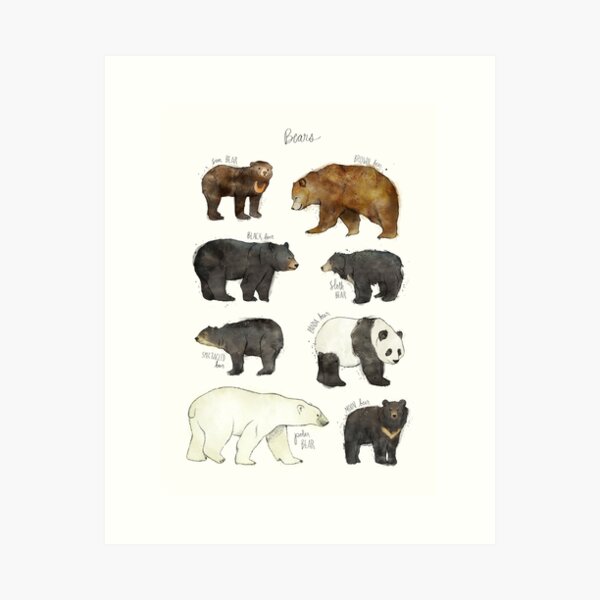 Bears Art Print
