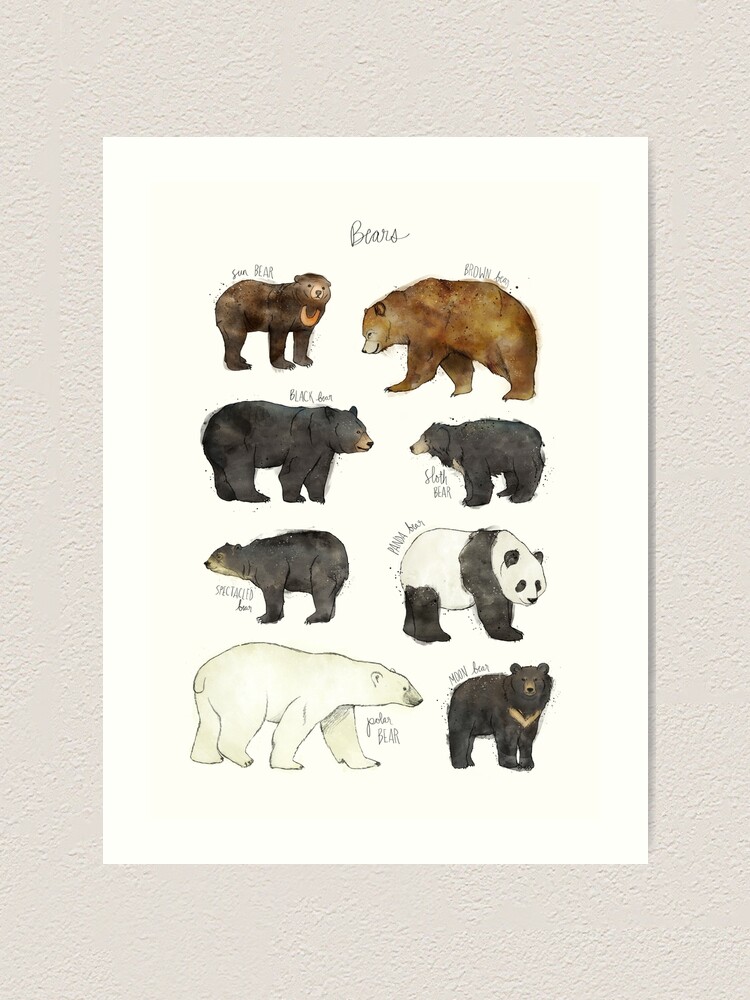 Alternate view of Bears Art Print