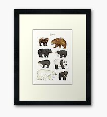 Bears Framed Print