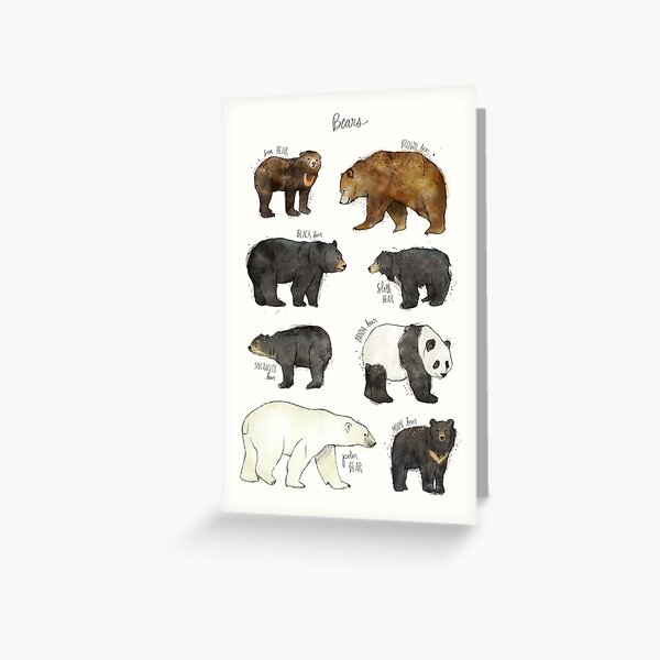 Bears Greeting Card