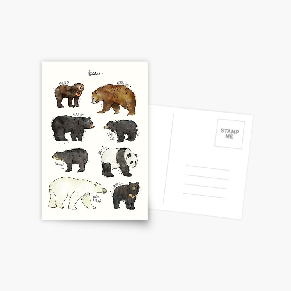 Bears Postcard