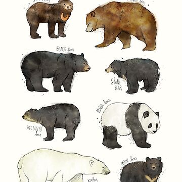 Artwork thumbnail, Bears by AmyHamilton