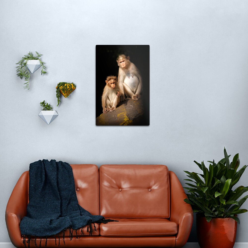 Monkeying Around Metal Print