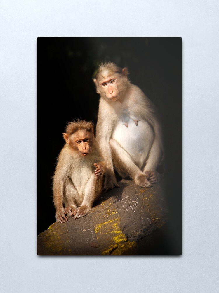 Alternate view of Monkeying Around Metal Print