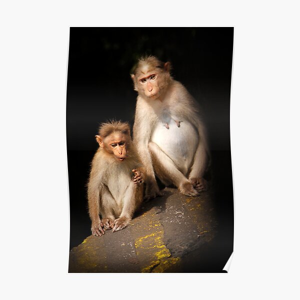Monkeying Around Poster
