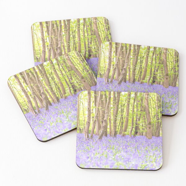 Bluebell woodland, East Sussex, UK Coasters (Set of 4)