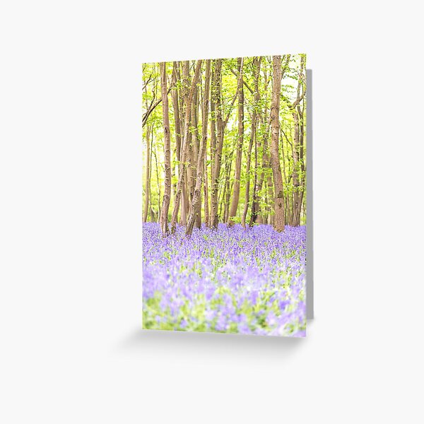 Bluebell woodland, East Sussex, UK Greeting Card