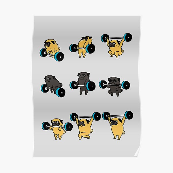 OLYMPIC LIFTING PUGS Poster