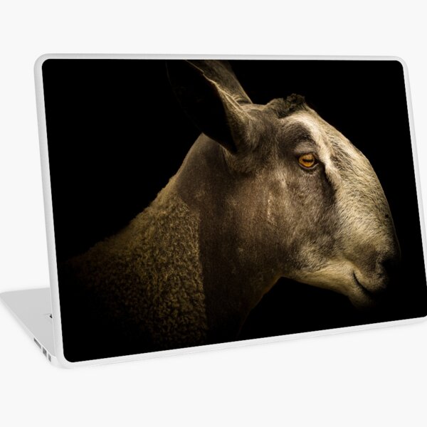 Bluefaced Leicester Laptop Skin