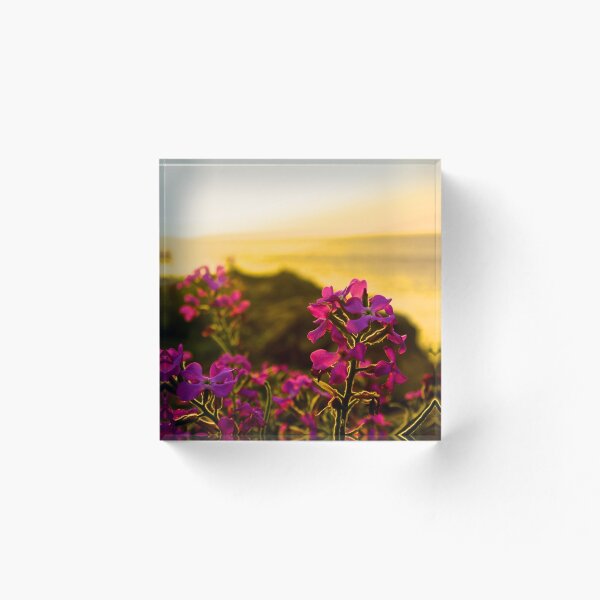 Item preview, Sunset over purple flowers designed and sold by petrosdeme.
