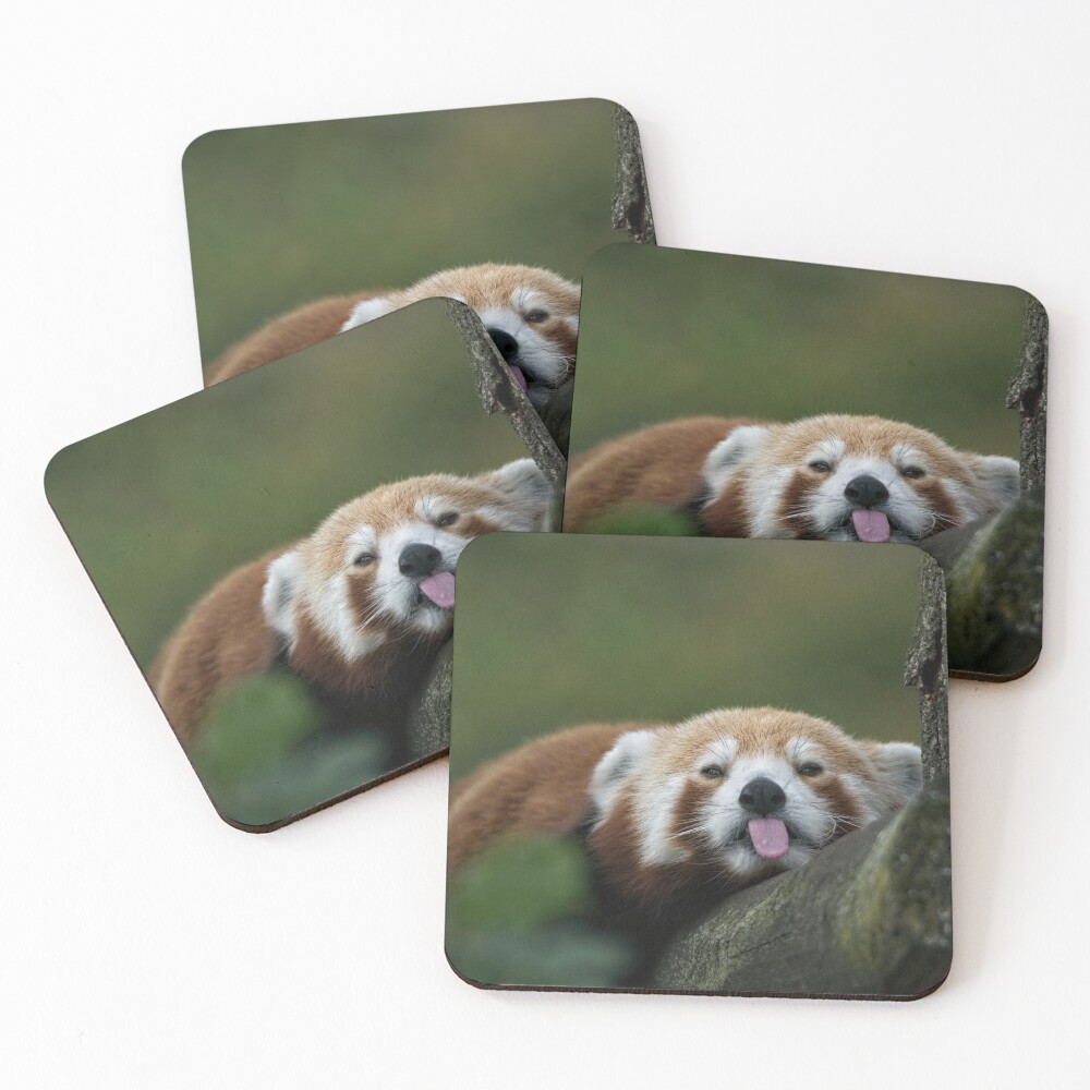 Item preview, Coasters (Set of 4) designed and sold by rawshutterbug.