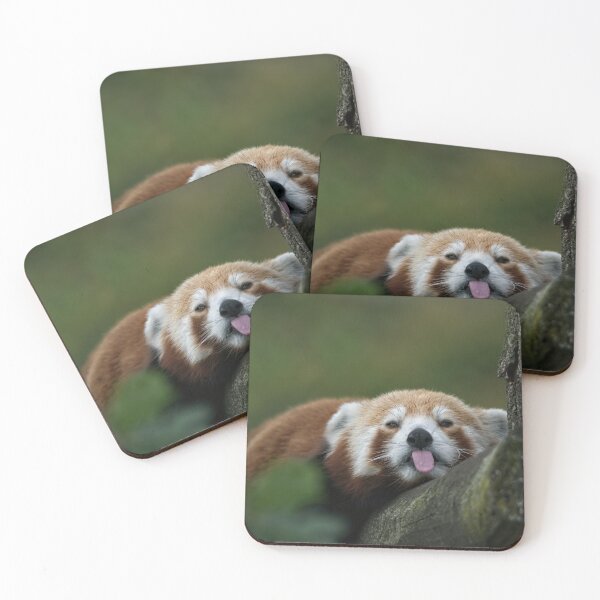 Item preview, Cheeky Panda designed and sold by rawshutterbug.