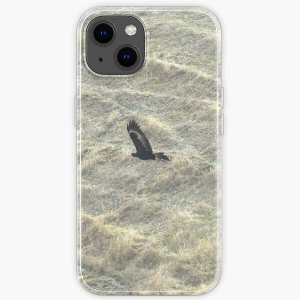 Wedge-Tailed Eagle Soaring iPhone Soft Case