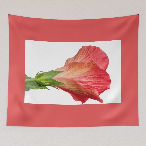Item preview, Hibiscus Back Side Beauty  designed and sold by Debra Martz.