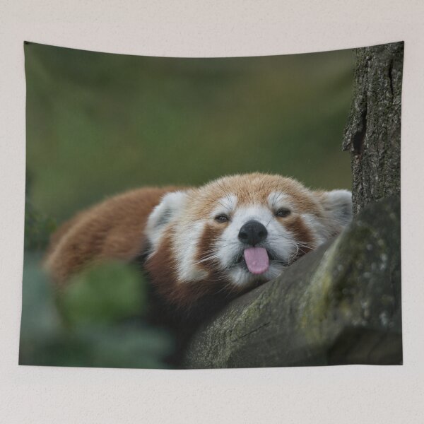 Item preview, Cheeky Panda designed and sold by rawshutterbug.