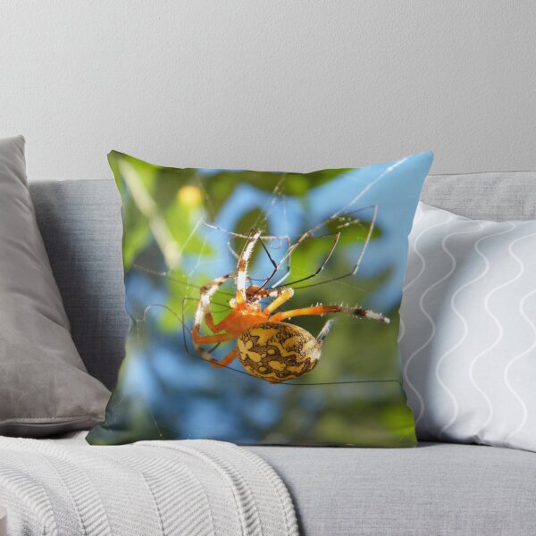 Item preview, Marbled Orb Weaver Spider - Marshfield, MA designed and sold by SouthShorePics.