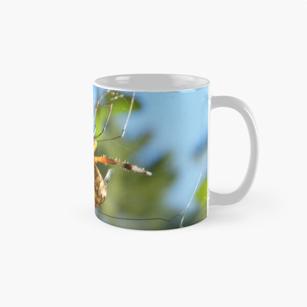 Item preview, Marbled Orb Weaver Spider - Marshfield, MA designed and sold by SouthShorePics.