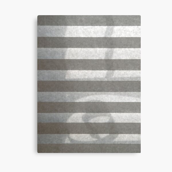 Fiddlehead Canvas Print