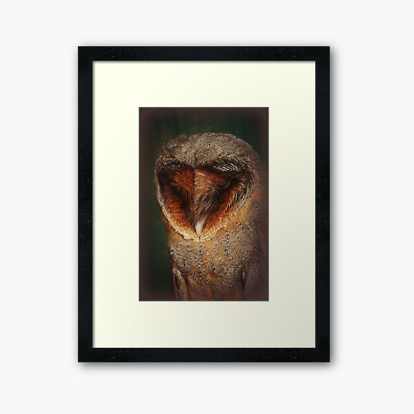 Item preview, Black Barn Owl designed and sold by Alexandra Lavizzari.