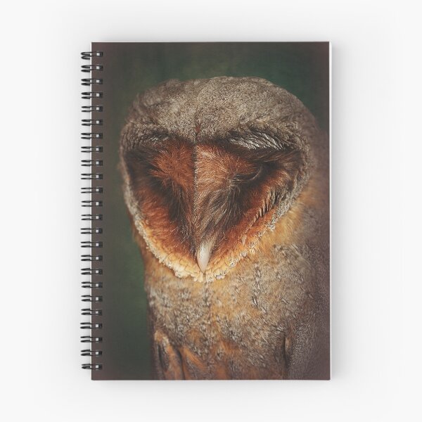 Item preview, Black Barn Owl designed and sold by Alexandra Lavizzari.