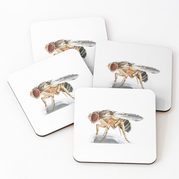 Item preview, Fruit Fly Collage designed and sold by DaniEdmunds.