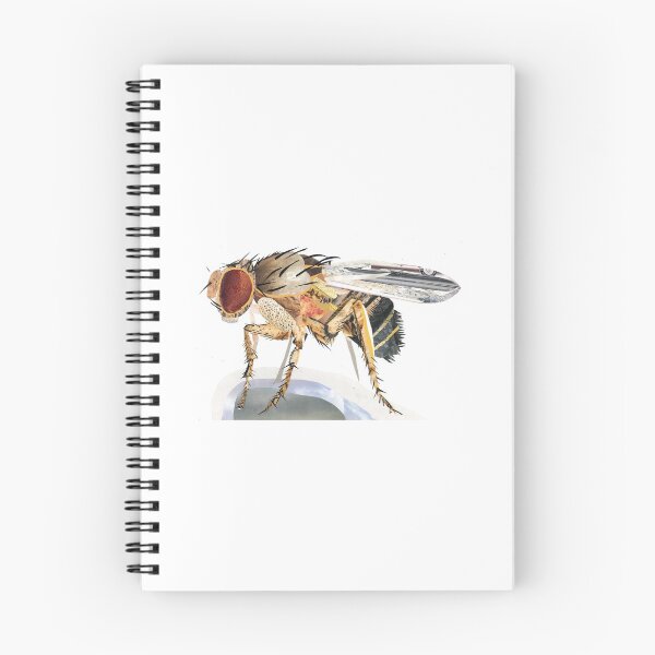 Item preview, Fruit Fly Collage designed and sold by DaniEdmunds.