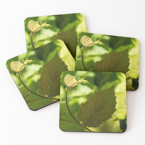 Item preview, Hazel Leaves - New Life in the Springtime Forest designed and sold by Georgia Mizuleva.