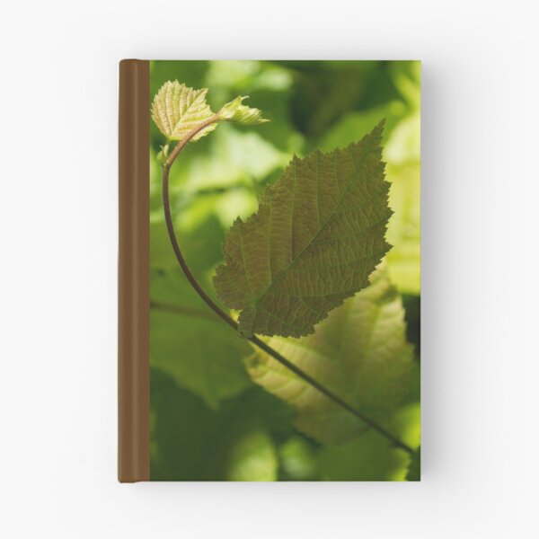 Item preview, Hazel Leaves - New Life in the Springtime Forest designed and sold by Georgia Mizuleva.