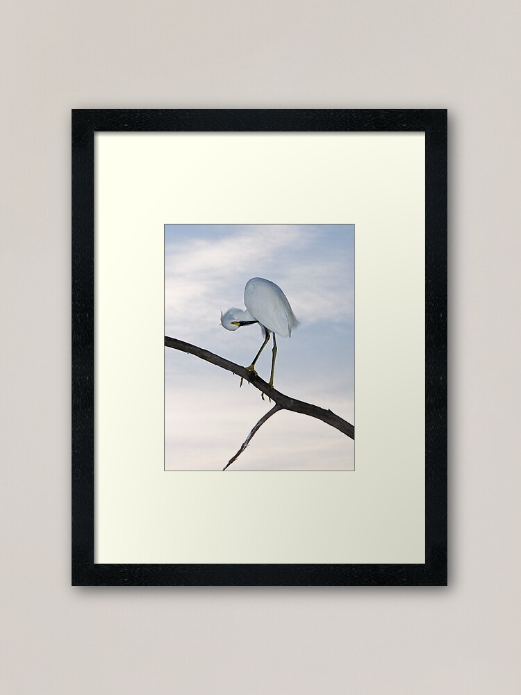 Alternate view of Snowy Egret Sunset Framed Art Print