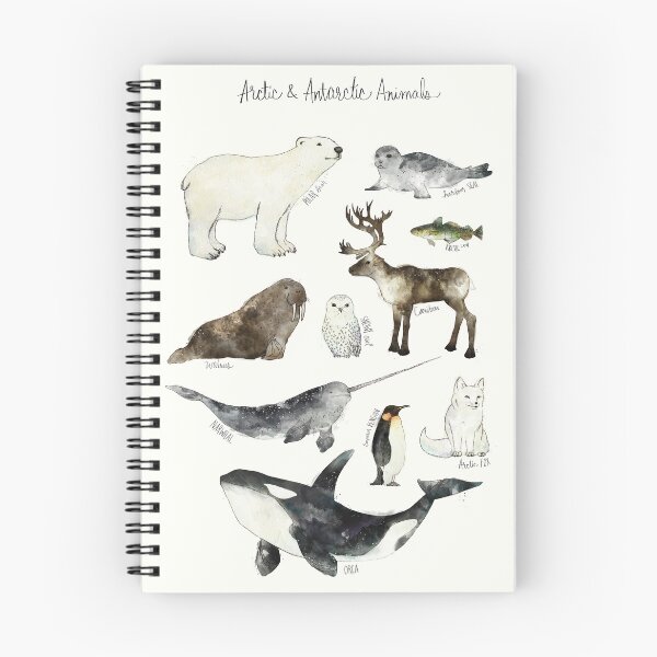 Item preview, Arctic & Antarctic Animals designed and sold by Amy Hamilton.