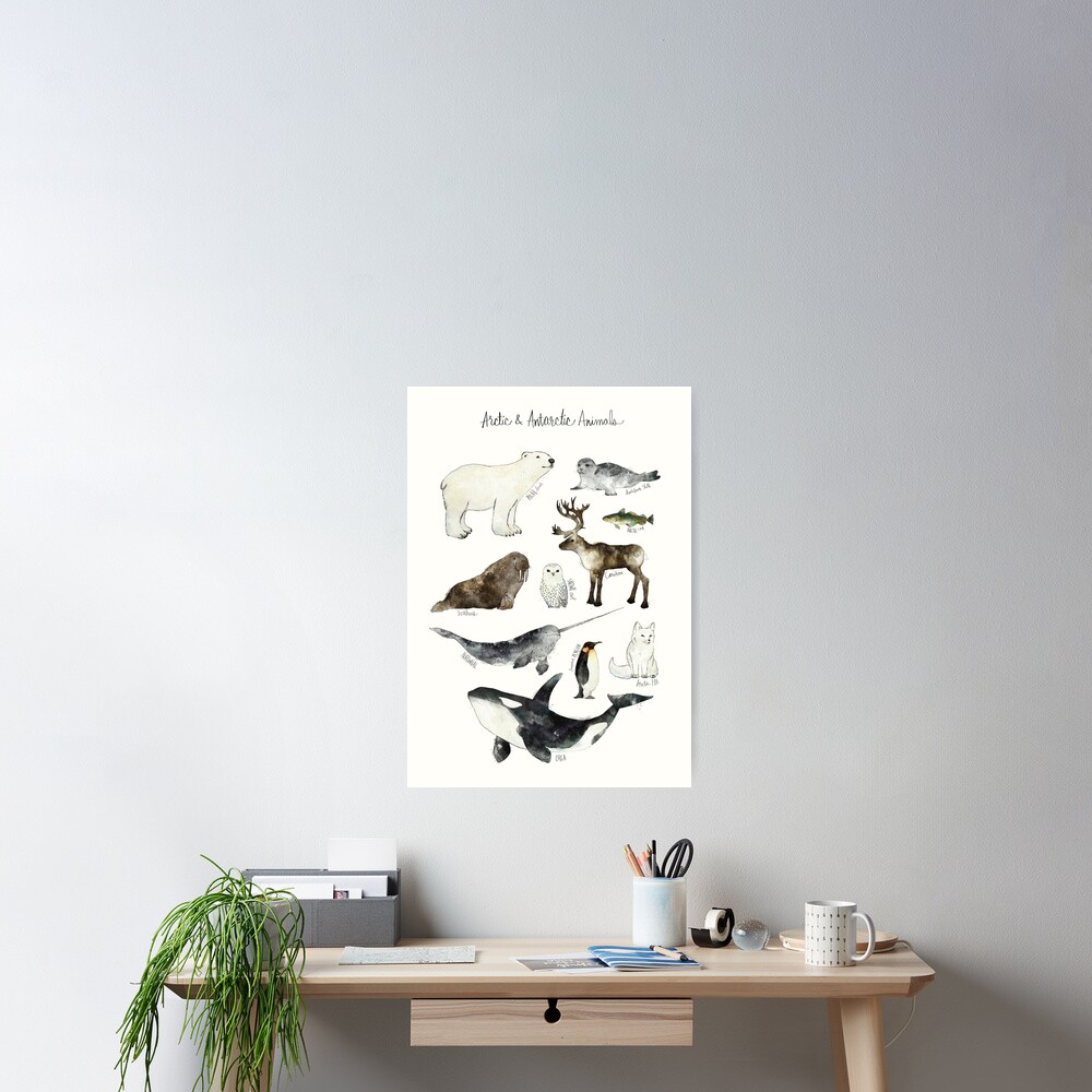 Arctic & Antarctic Animals Poster