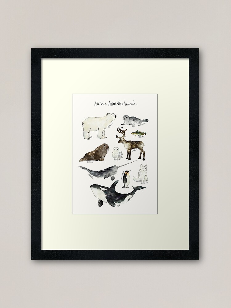 Alternate view of Arctic & Antarctic Animals Framed Art Print