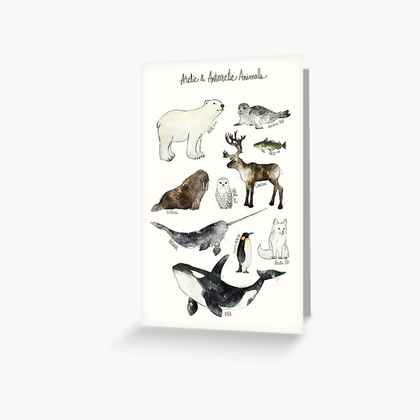Item preview, Arctic & Antarctic Animals designed and sold by Amy Hamilton.