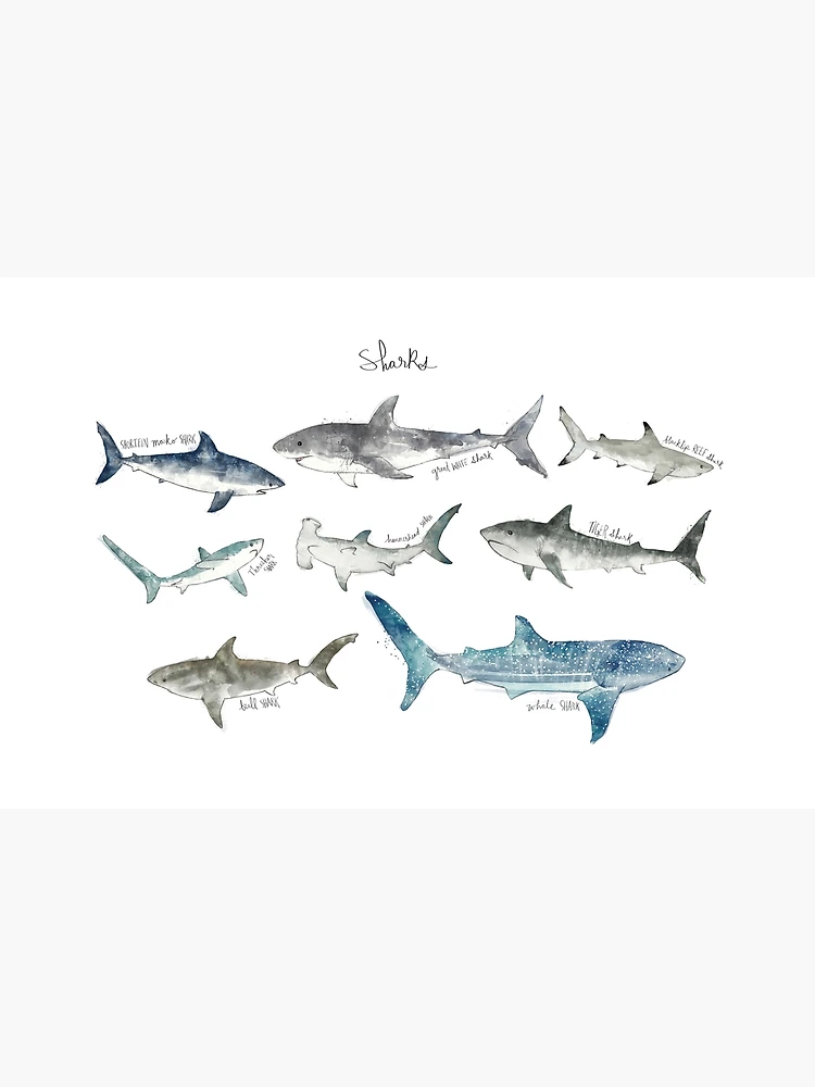 Thumbnail 4 of 4, Zipper Pouch, Sharks designed and sold by Amy Hamilton.