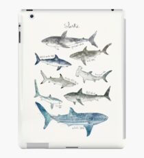 Haie iPad-Hülle & Klebefolie