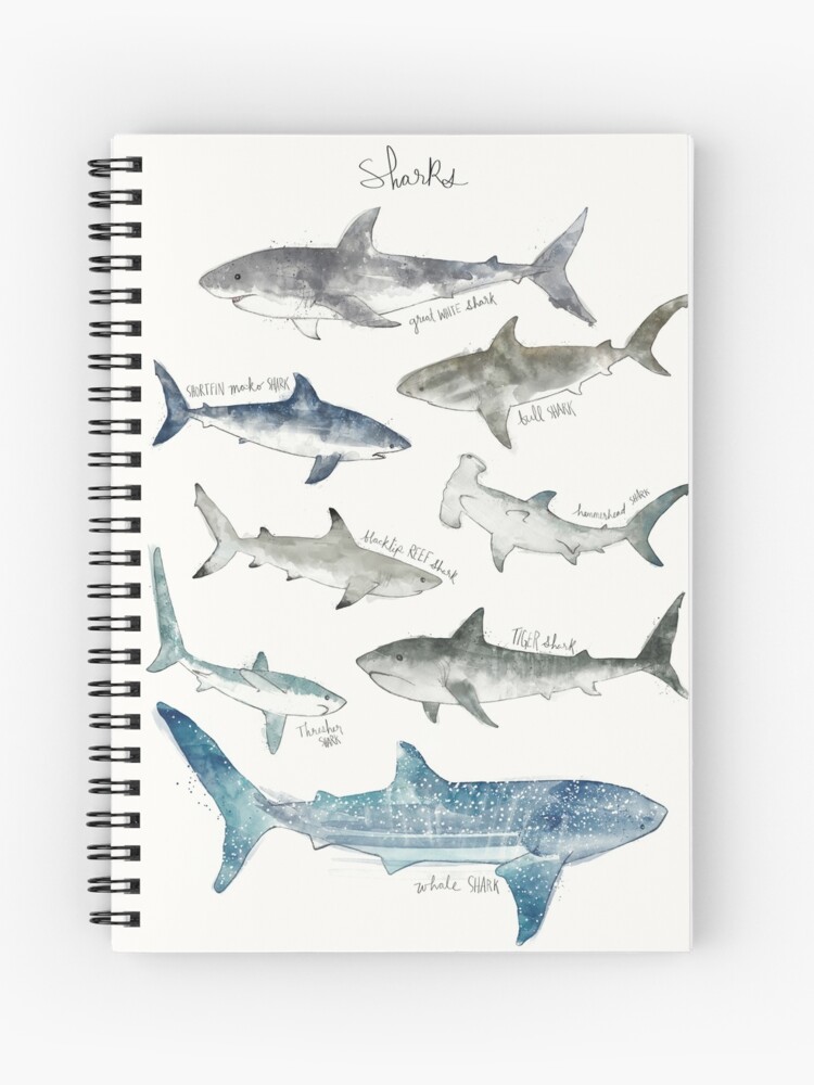 Cuaderno de espiral «Tiburones» de AmyHamilton | Redbubble